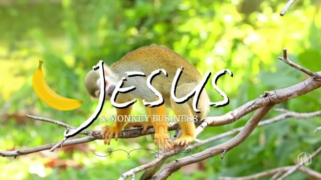 Jesus & Monkey Business