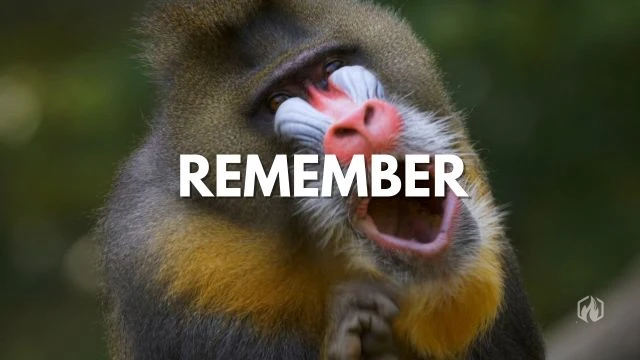 Revival Reminder